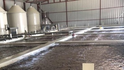 養殖污水為何難處理，用什么工藝?